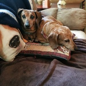 Meet your Posher, Mike